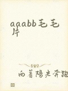 aaabb毛毛片
