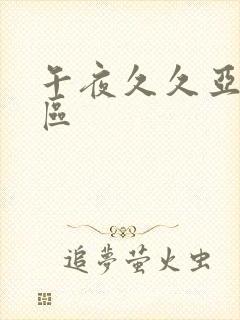 午夜久久亚洲一区