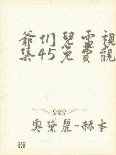 爷们儿电视剧全集45免费观看