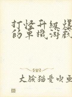 打怪升级爆装备的单机游戏