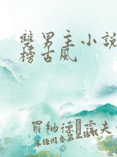 双男主小说排行榜古风