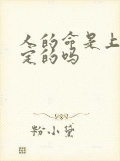 人的命是上天注定的吗