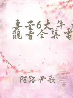 妻子6大牛免费观看全集电视剧