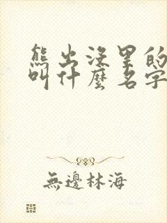 熊出没里的地鼠叫什么名字