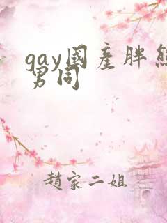 gay国产胖熊男同