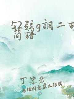 52弦g调二胡简谱