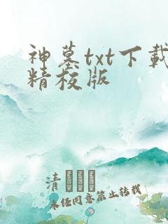 神墓txt下载精校版