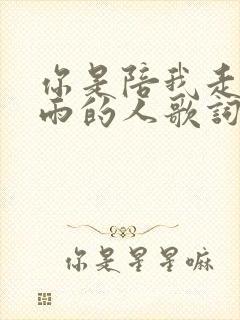 你是陪我走过风雨的人歌词完整版