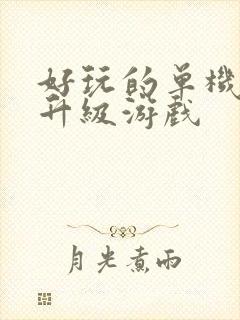 好玩的单机打怪升级游戏