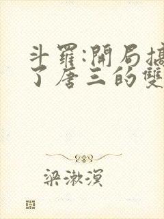 斗罗:开局搞没了唐三的双生武魂小说