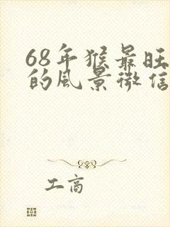 68年猴最旺财的风景微信头像