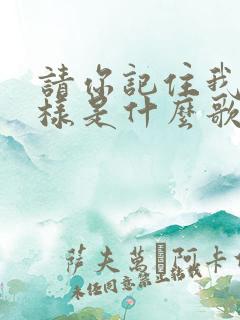 请你记住我的模样是什么歌