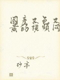 国产又色又爽又黄的视频网站