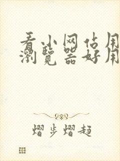 看小网站用哪个浏览器好用