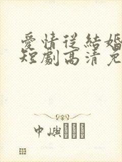 爱情从结婚开始短剧高清免费播放