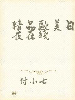 精品欧美日韩午夜在线