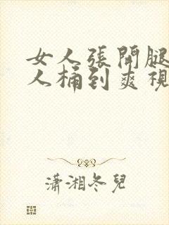 女人张开腿让男人桶到爽视频