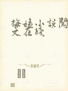 梅姨小说阅读全文在线