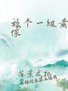 放个一级黄色录像