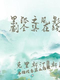 黑狐之风影电视剧全集在线观看