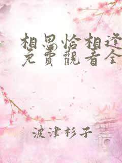 相思恰相逢短剧免费观看全集