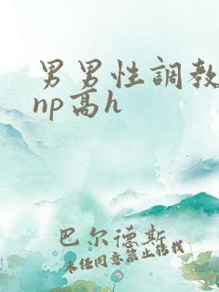 男男性调教小说np高h