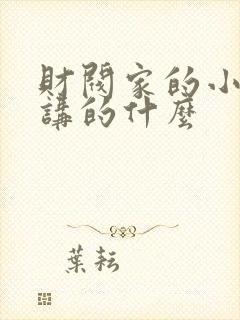 财阀家的小儿子讲的什么