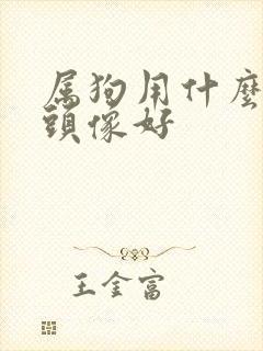 属狗用什么微信头像好