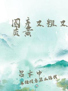 国产又粗又猛又爽黄