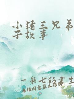 小猪三兄弟盖房子故事