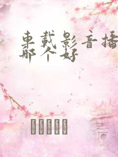 车载影音播放器哪个好