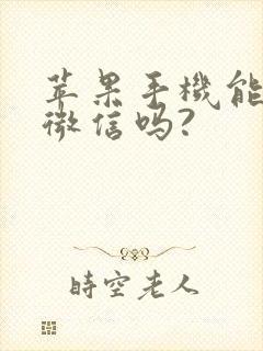 苹果手机能双开微信吗?