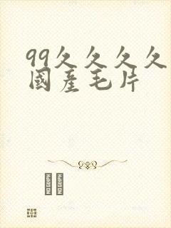 99久久久久久国产毛片