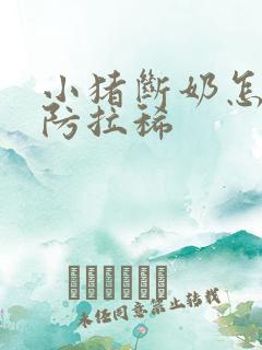 小猪断奶怎么预防拉稀