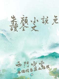 朱颜小说免费阅读全文