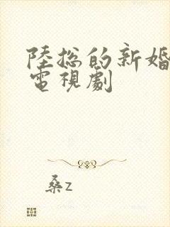 陆总的新婚哑妻电视剧