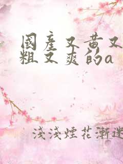 国产又黄又猛又粗又爽的a