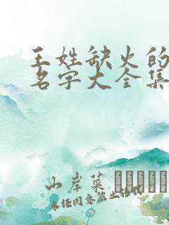 王姓缺火的男孩名字大全集