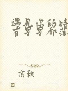 遇见你的时候所有星星都落到我头上 歌词