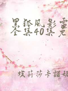 黑狐风影电视剧全集40集免费观看高清