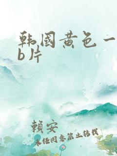 韩国黄色一级日b片