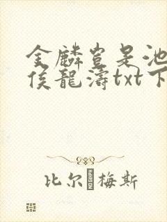 金麟岂是池中物侯龙涛txt下载