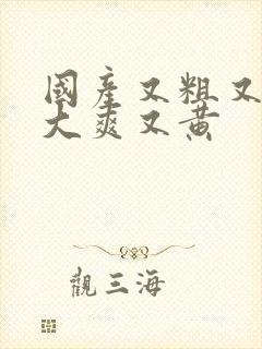 国产又粗又猛又大爽又黄