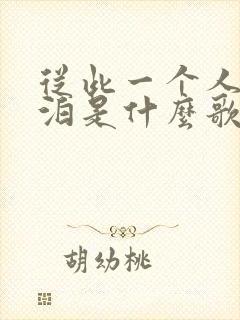 从此一个人去漂泊是什么歌