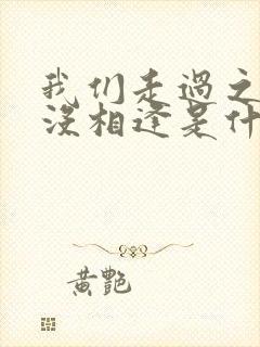 我们走过之后再没相逢是什么歌