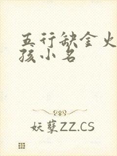 五行缺金火的男孩小名