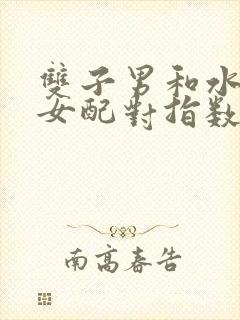 双子男和水瓶座女配对指数