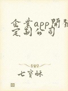 企业app开发定制公司