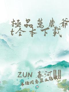 极品万岁爷txt全本下载