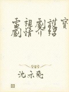 电视剧护宝风云剧情介绍